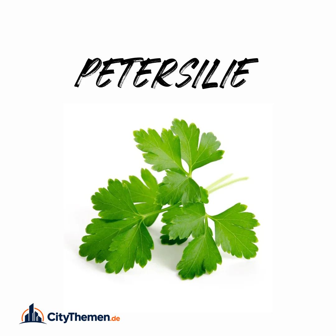 petersilie